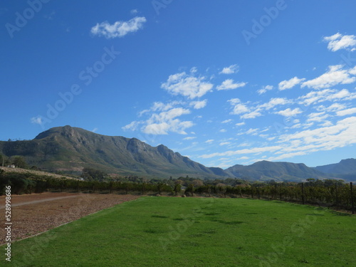 Winery, Constantia, Cape Town, South Africa