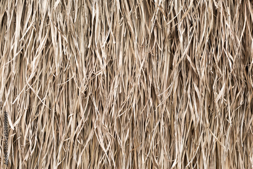 Straw texture. Tropic roof summer background.