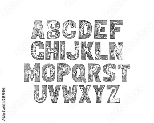 Cute Animals Font for kids. Decorative ancient alphabet. Vintage characters typeface. Double exposure Editable and layered. Kangaroo, octopus. Hand drawn Vector modern antique letters. Graphic ABC zoo