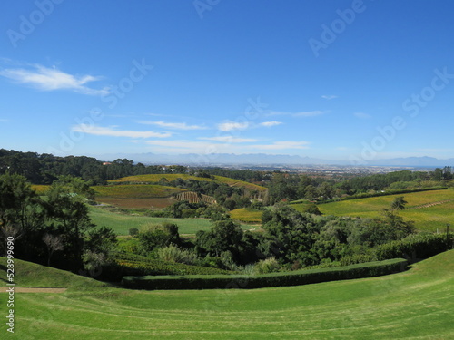 Winery, Constantia, Cape Town, South Africa