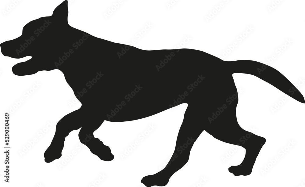 Running and jumping american pit bull terrier puppy. Black dog silhouette. Pet animals. Isolated on a white background.