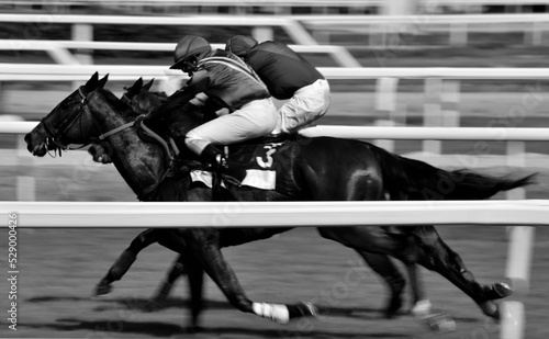 Canvas Print Blurry image of two jockeys and horses galloping to finish line, black and white