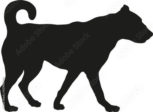 Standing multibred dog puppy. Black dog silhouette. Pet animals. Isolated on a white background.