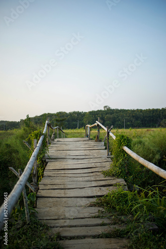 traditional wooden bridge with green grass and blue sky