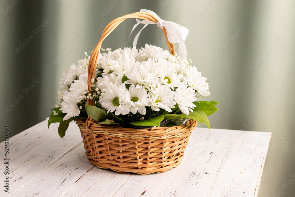 Wicker basket of white chamomile chrysanthemums on wooden background against green textile curtains. Gift flowers basket for the holiday