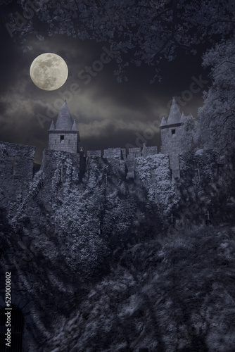 Medieval castle in a full moon night