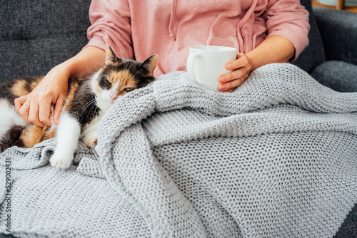 Fotografia Close-up woman in a plaid drinking hot tea, petting a relaxed cat on the sofa at home