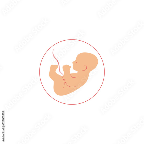 Baby in womb. Pregnancy concept. Fetus symbol. Embryo in belly. Medical emblem for pregnancy center. Vector illustration