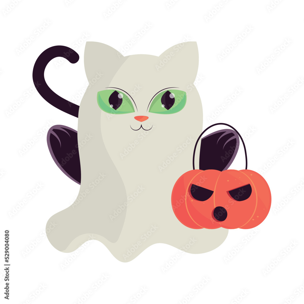 Fototapeta premium halloween cat with costume