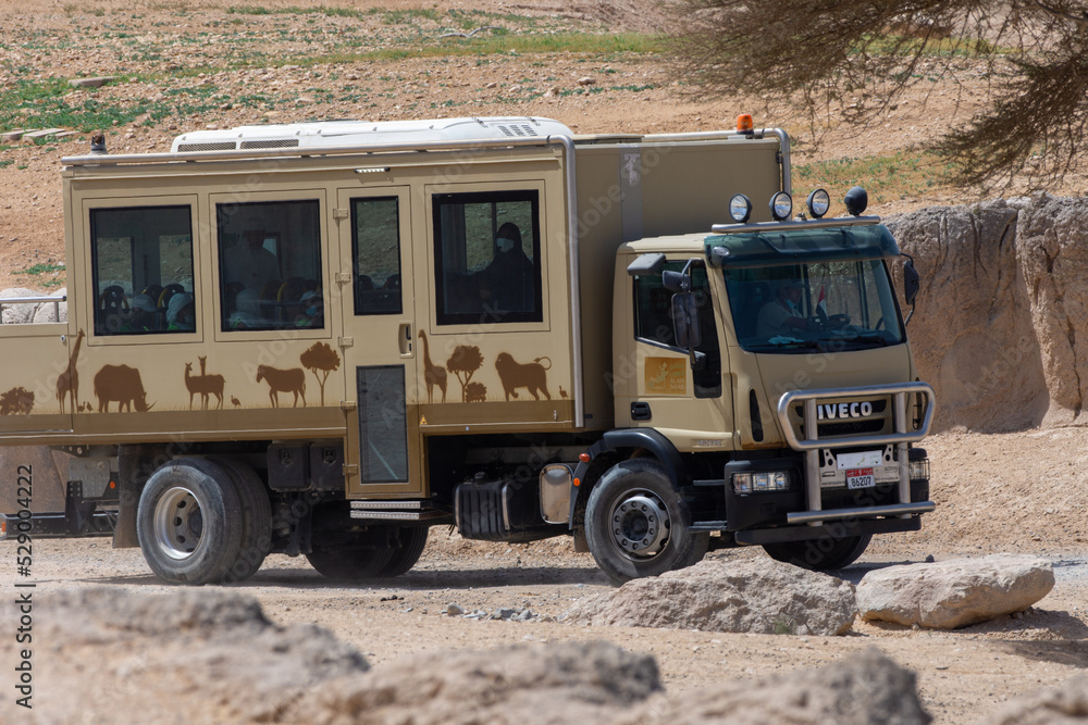 Al Ain Zoo Safari Car driving through desert looking at african animals