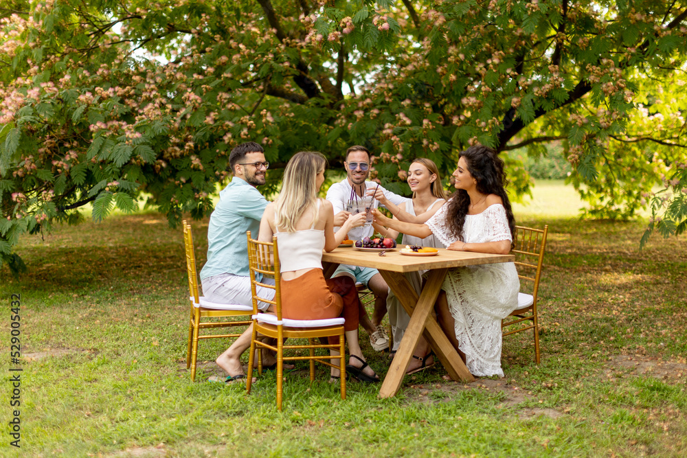 Group of happy young people cheering with fresh lemonade and eating fruits in the garden Group of happy young people cheering with fresh lemonade and eating fruits in the garden