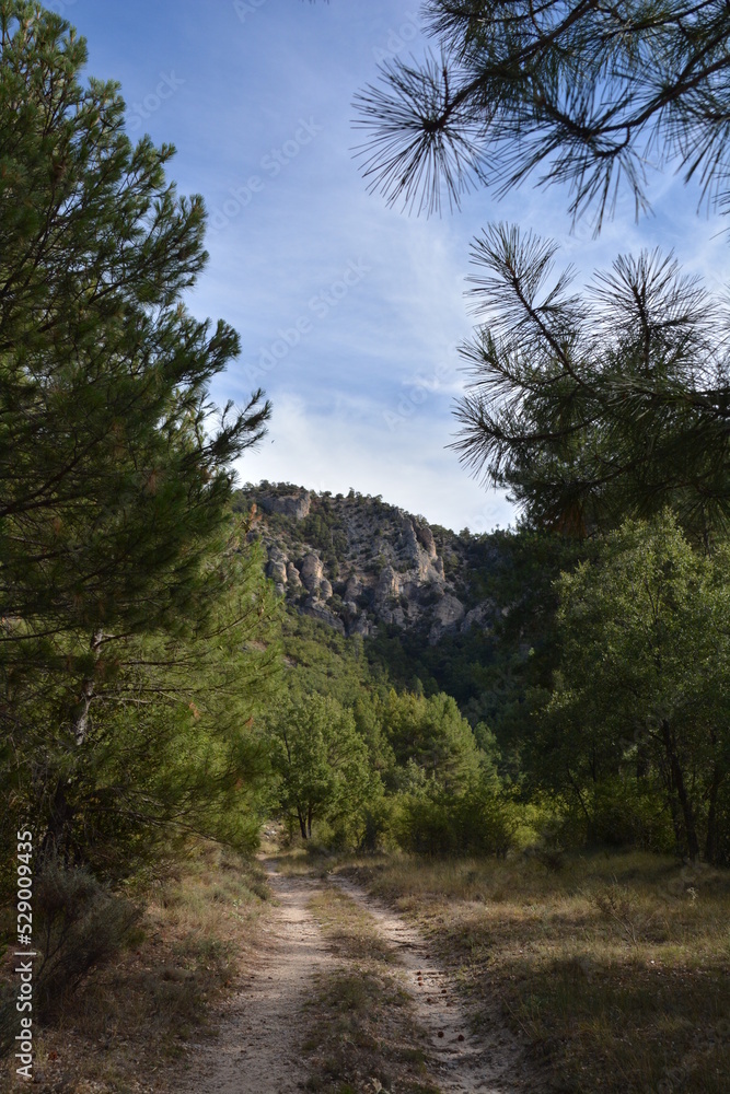 Ruta por el alto tajo , Taravilla