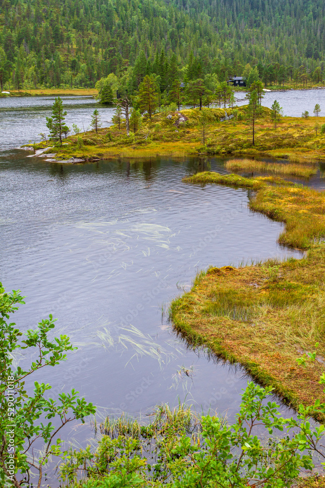 Typische Moor-und Seenlandschaft in Schweden
