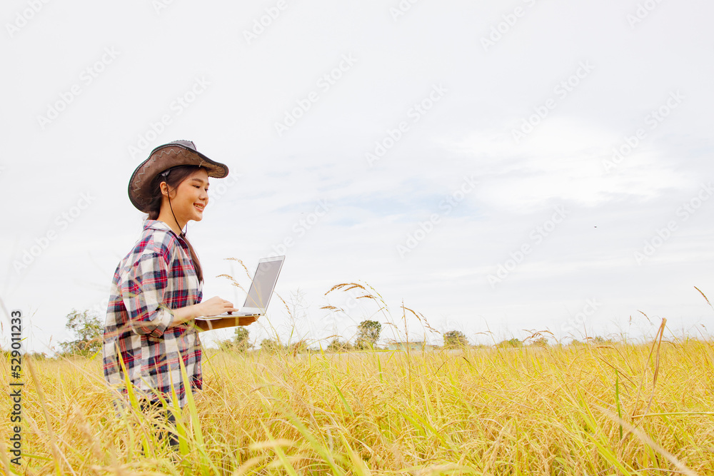 Side view Asian woman farmer working in a hat stands inspecting the crops of a mature rice field using state of the art laptop to analyze and collect summer rice varieties smiling happily. Side view Asian woman farmer working in a hat stands inspecting the crops of a mature rice field using state of the art laptop to analyze and collect summer rice varieties smiling happily.