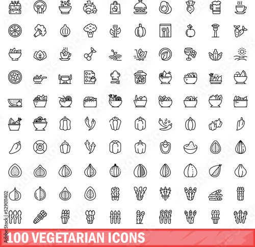 100 vegetarian icons set. Outline illustration of 100 vegetarian icons vector set isolated on white background