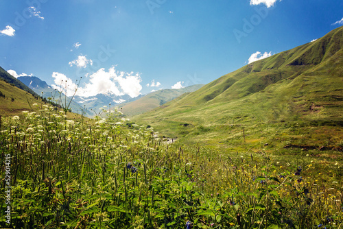 View of high alpine meadows.