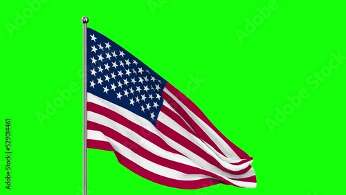 USA flag on green background. Isolated 3D render photo