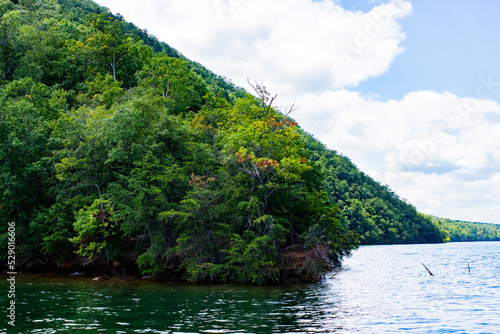 Lake in a Forest