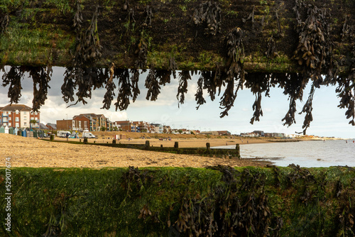 Breakwater at the beach