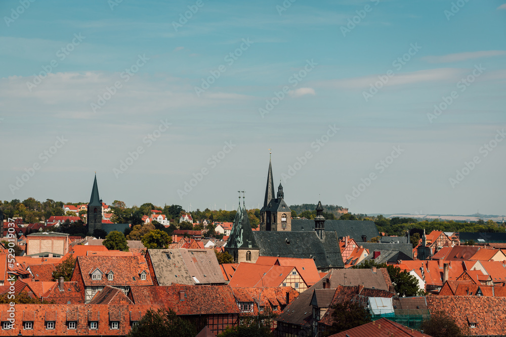 Fototapeta premium Red roofs of beautiful houses. Top view