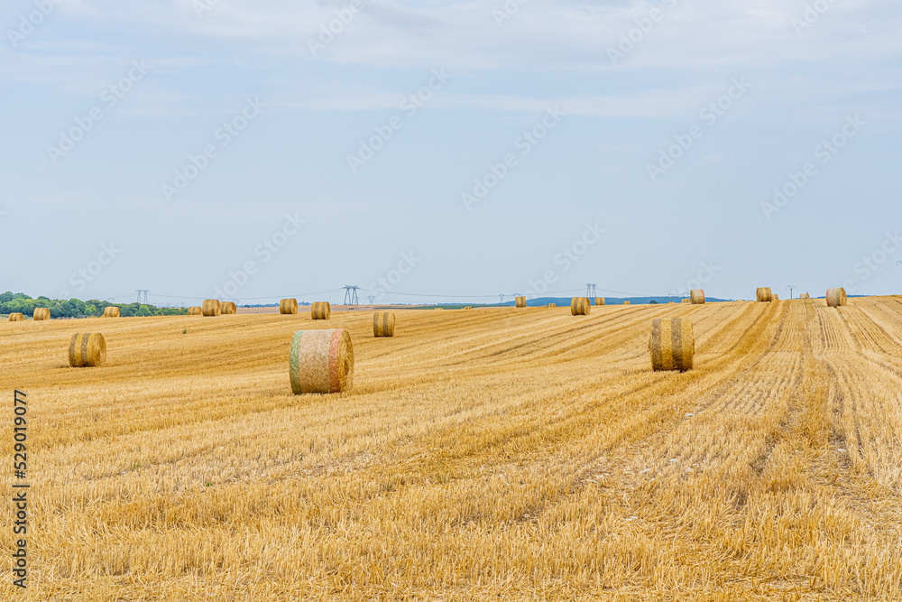 A field with golden hay bales in French countryside on the sky background.