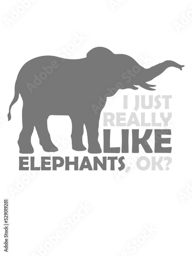 Zitat really like elephants 