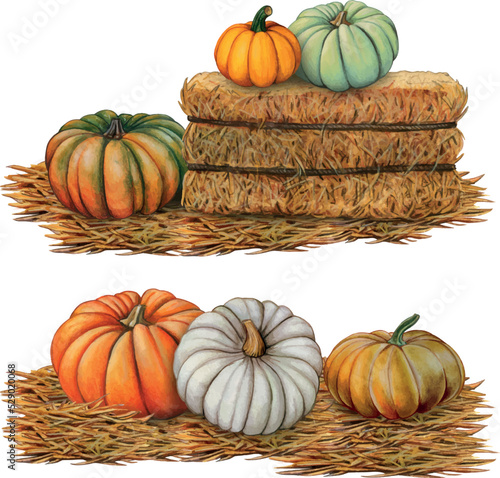 pumpkins and gourds