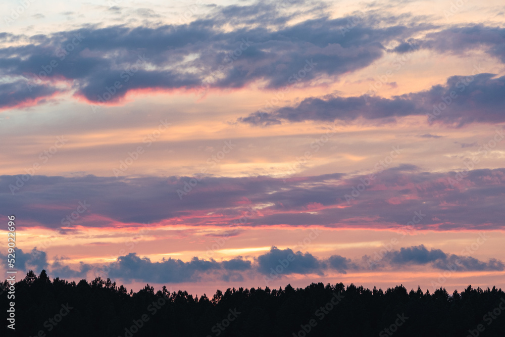 Horizontal sunset over trees