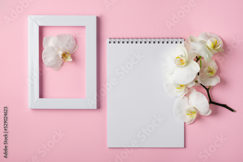 Notepad sheet, frame and white orchid flowers on a colored background. © Nataliia Sirobaba