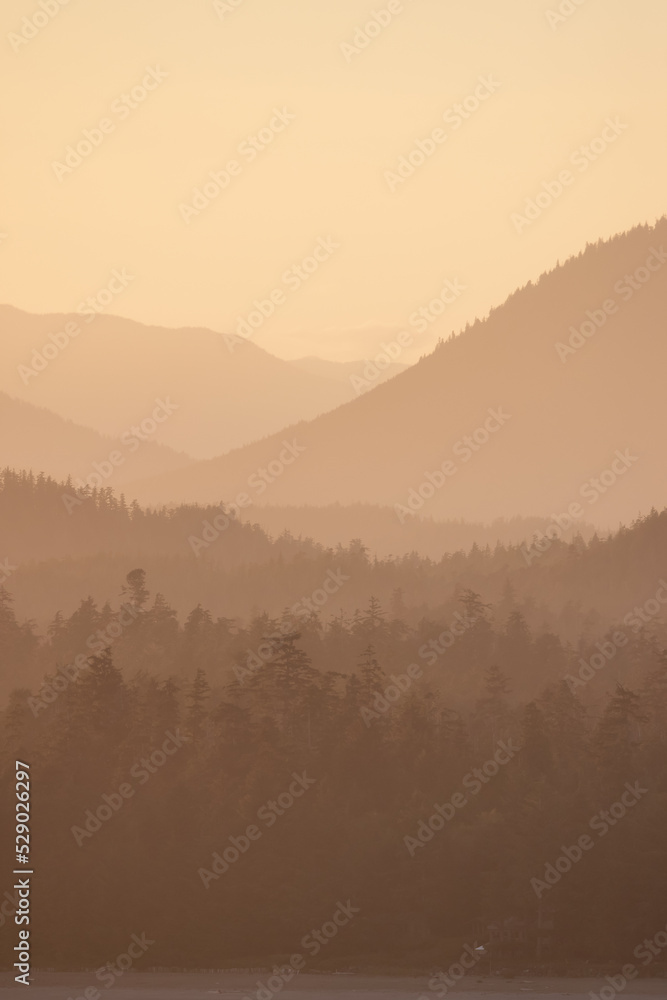 custom made wallpaper toronto digitalGreen Trees and Mountain Landscape on the Pacific Ocean West Coast. Tofino, Vancouver Island, British Columbia, Canada. Canadian Nature Background. Sunset Sky