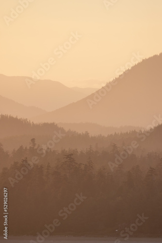 Green Trees and Mountain Landscape on the Pacific Ocean West Coast. Tofino, Vancouver Island, British Columbia, Canada. Canadian Nature Background. Sunset Sky © edb3_16