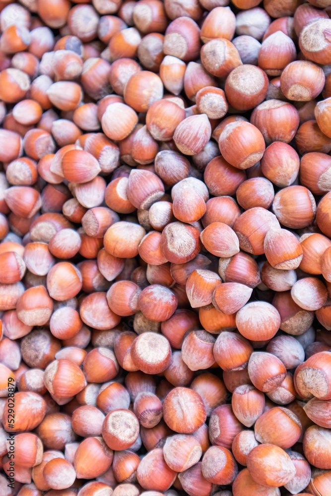 ripe hazelnut hazelnut fruits close-up as background ripe hazelnut hazelnut fruits close-up as background