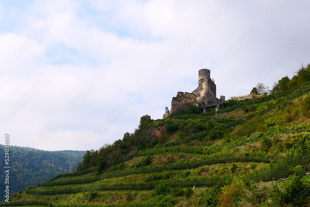 Blick auf die Burgruine Senftenberg