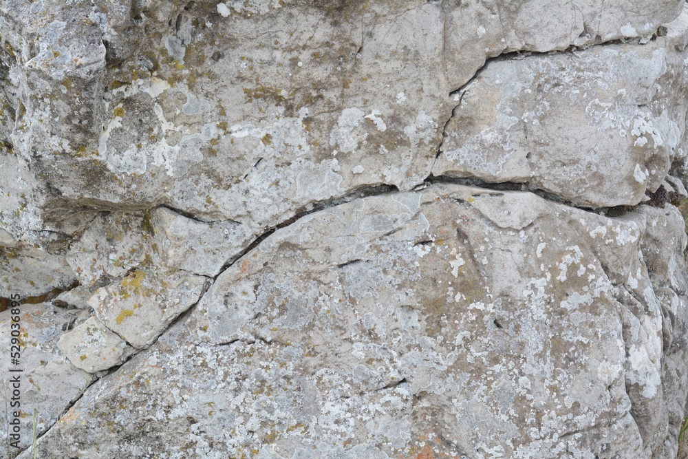 Naklejka premium Closeup view of stone covered with lichen as background