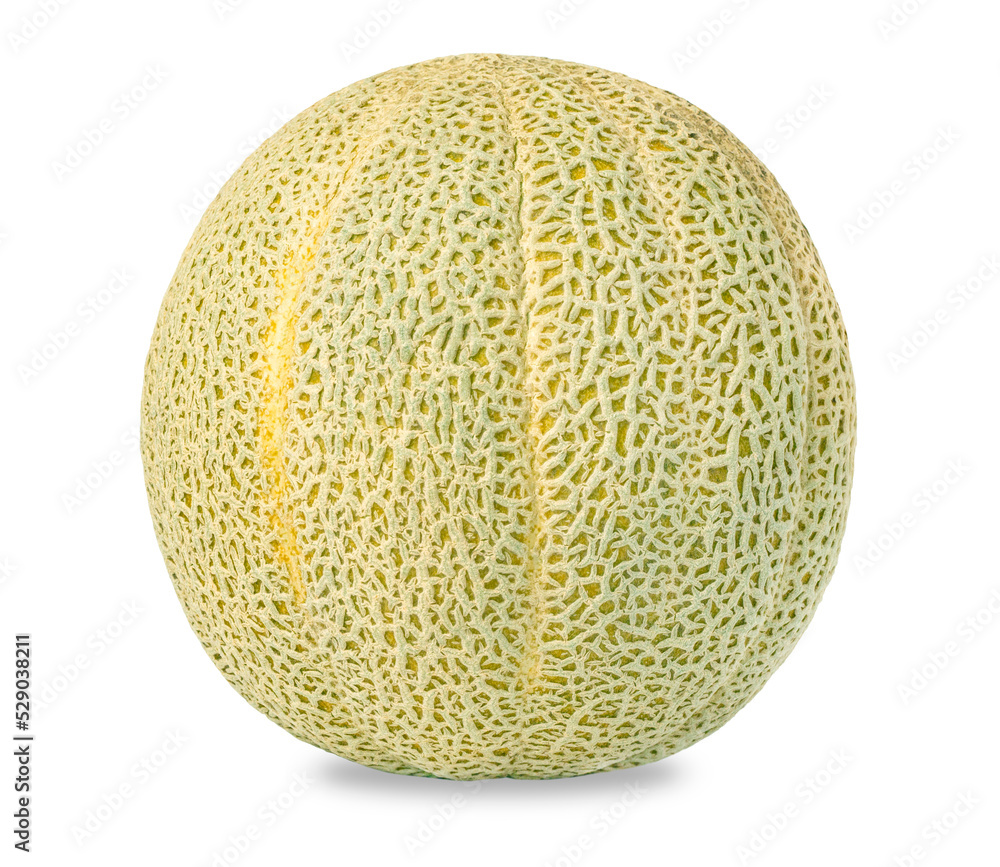 Melon isolated on white background. The vegetable is fragrant. Melon isolated on white background. The vegetable is fragrant.