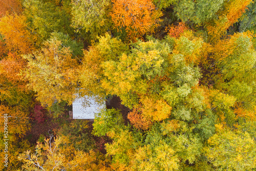 Fotografía Aerial view of the autumn colorful forest with an abandoned forester house among the trees