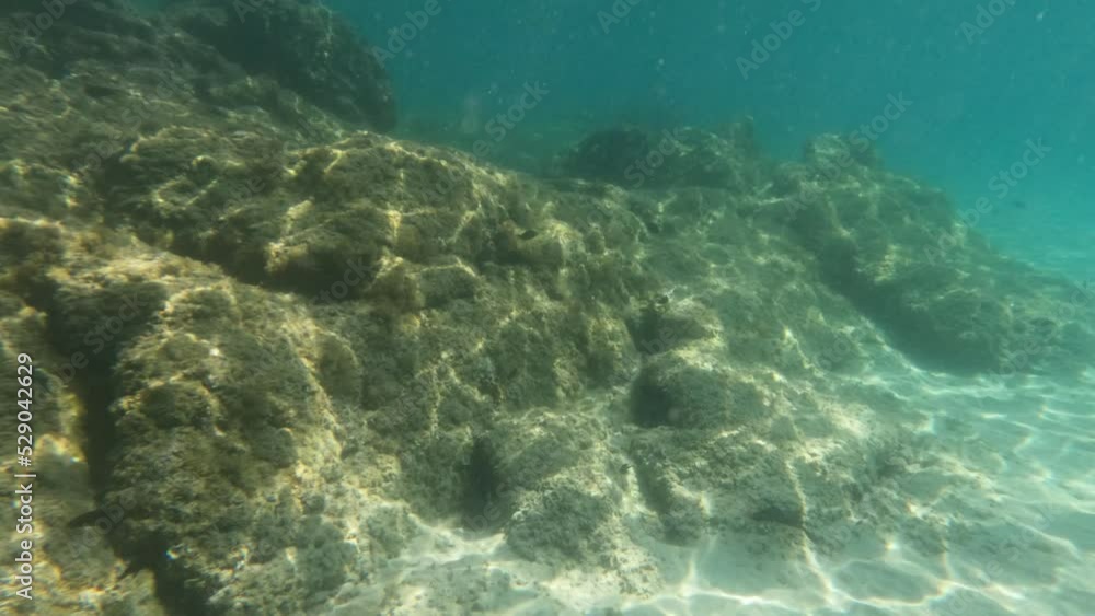 Underwater scene of ripple sunlight rays on sea bottom. Turquoise color seawater. 