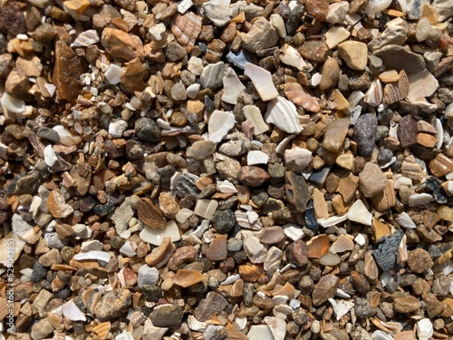 Mussel shells, sand and gravel as substrate