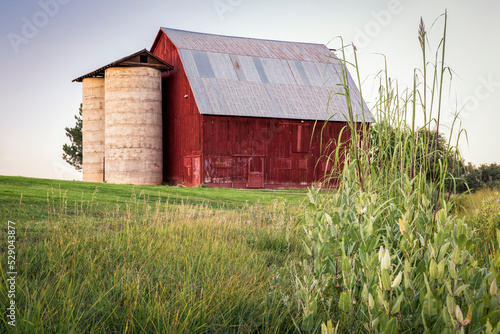 old red barn with twin silo and reeds and milk weed along irrigation ditch at Colorado foothills, late summer scenery at dusk, public Shenandoah Park in Fort Collins photo