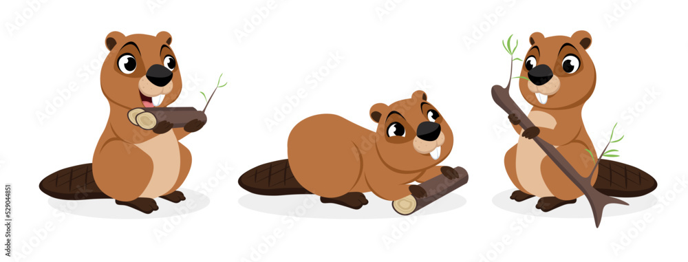 Vector illustration of cute and beautiful beavers on white background. Charming characters in different poses brought sticks, eats, stands satisfied with branches in cartoon style.