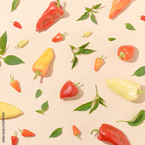 Trendy layout made of various fresh peppers and leaves on bright beige background. Organic ripe healthy vegetables composition. Autumn food creative aesthetic. Flat lay.