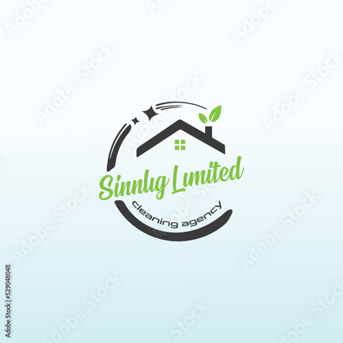 cleaning agency vector logo design