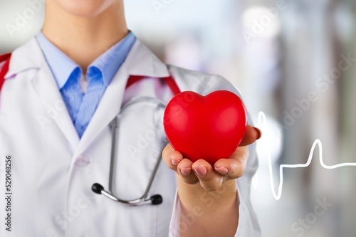 Cardiologist holding red heart in clinic. Medical technology diagnostics of heart concept.