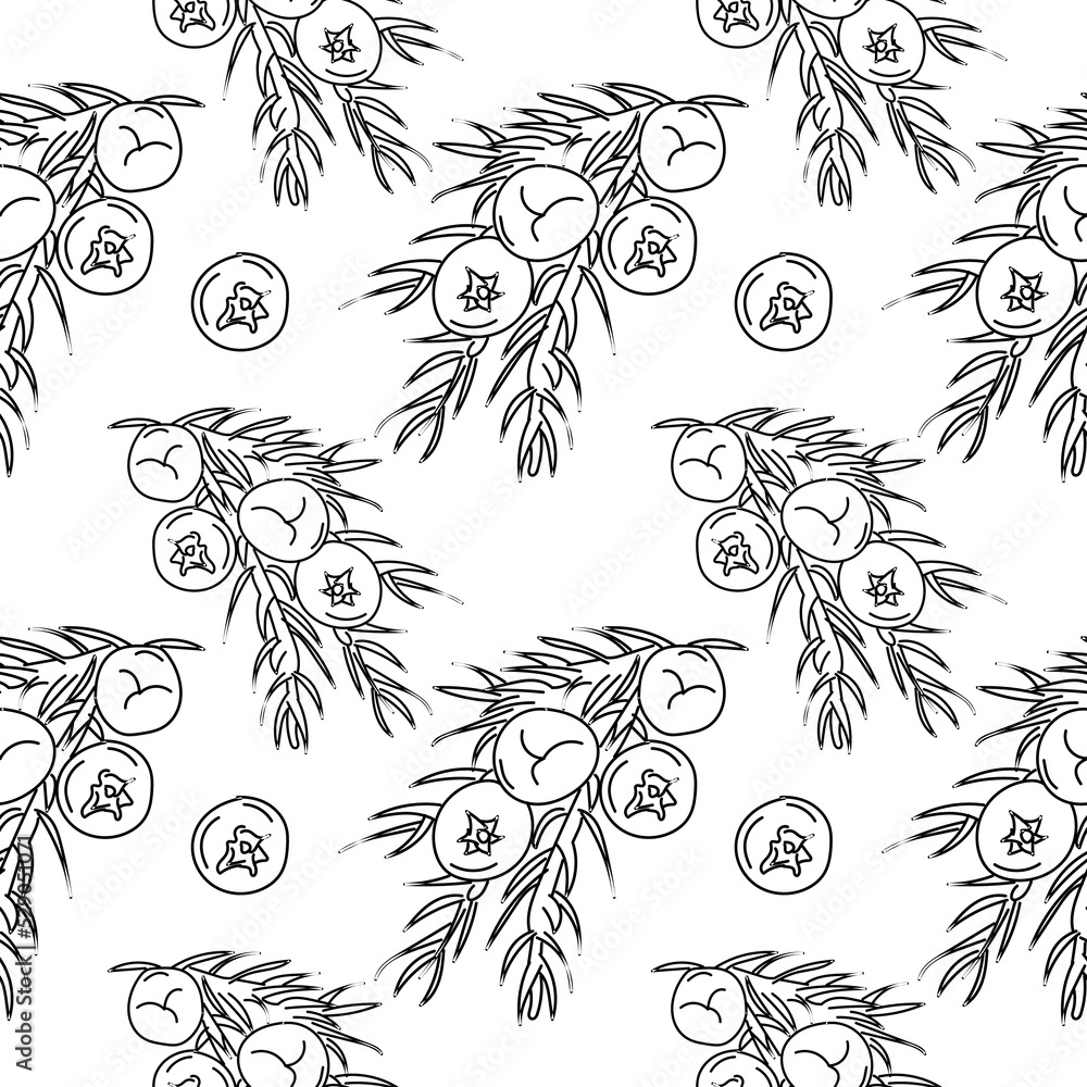 Juniper seamless pattern. Linear Juniper Seamless pattern, background for print. vector illustration. Juniper seamless pattern. Linear Juniper Seamless pattern, background for print. vector illustration.