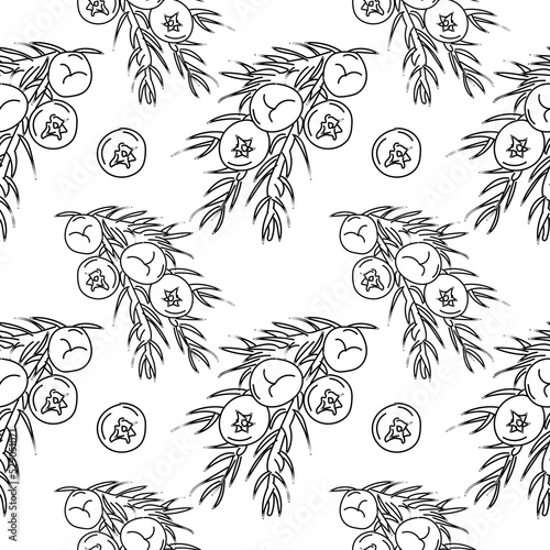 Juniper seamless pattern. Linear Juniper Seamless pattern, background for print. vector illustration.