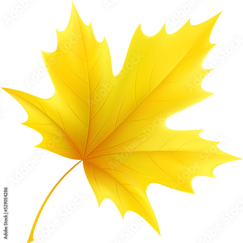 Принти на полотні Autumn Leaf