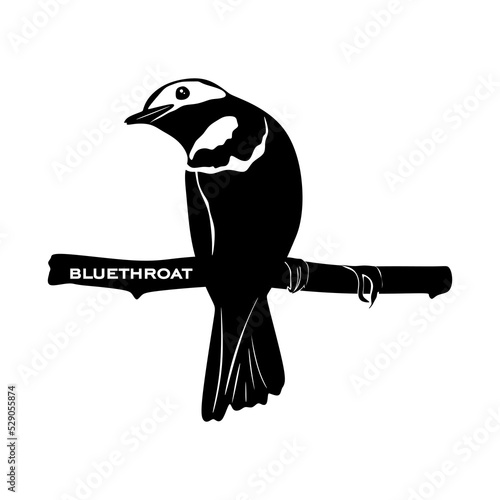Bluethroat creative concept logo isolated on white background. Bluethroat sign. Black minimalistic bird icons vector illustration