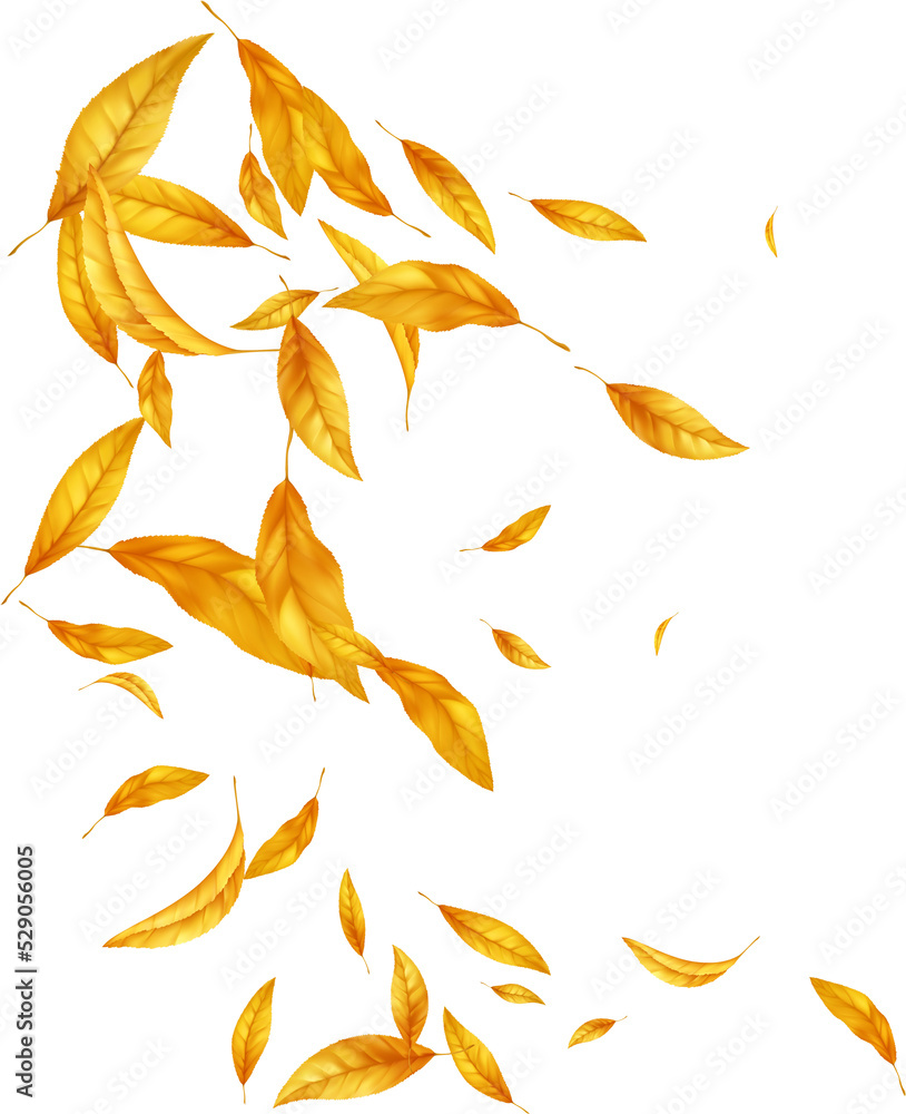 Fall Leaf Border Fall Leaf Border