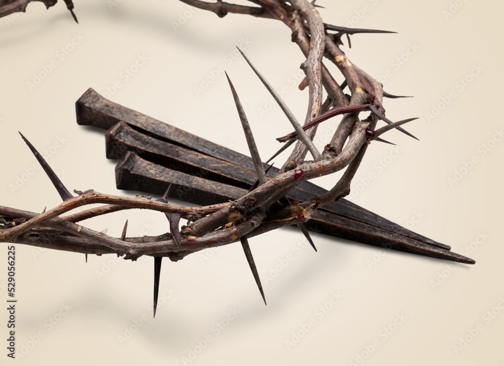 Crown of thorns symbolizing the sacrifice, suffering and resurrection of Jesus Christ on the cross and Easter bright background Crown of thorns symbolizing the sacrifice, suffering and resurrection of Jesus Christ on the cross and Easter bright background
