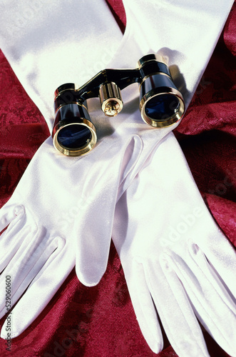 Pair of gloves and binoculars photo